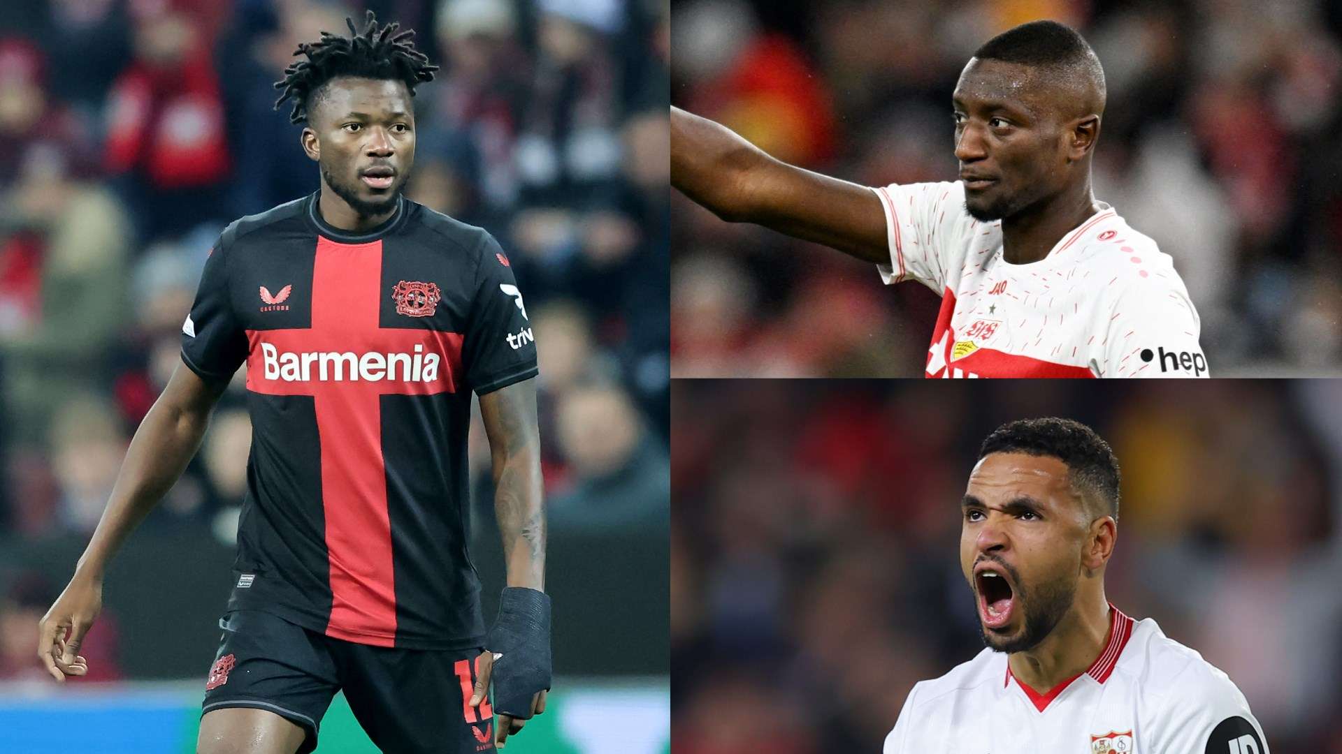 自己的光辉 自己的光辉